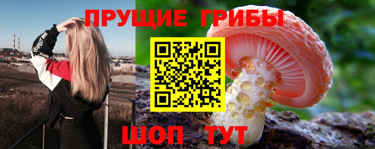 Псилоцибиновые грибы Cubensis  Галлюциногенные грибы Magic Shrooms  Вход с VPN  Артёмовский 
