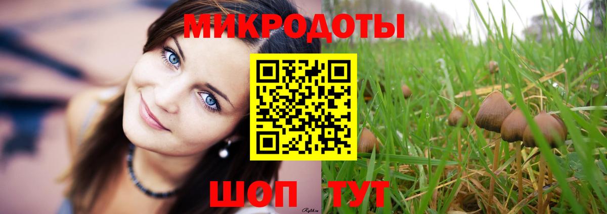 Псилоцибиновые грибы ЛСД Артёмовский